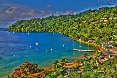 13072835_964409087009578_5955749442823534561_o