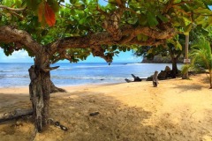 13178618_10156900026170228_201970830815938841_n