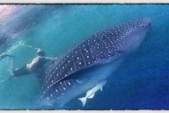 179126_10151879296890228_918142691_n