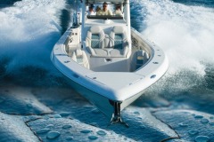 1_WhatsApp-Image-2024-01-13-at-3.23.20-PM-10