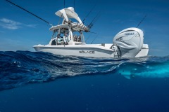 1_WhatsApp-Image-2024-01-13-at-3.23.21-PM-14