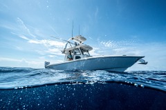 1_WhatsApp-Image-2024-01-13-at-3.23.21-PM-17