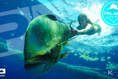 1_WhatsApp-Image-2024-01-13-at-3.23.21-PM