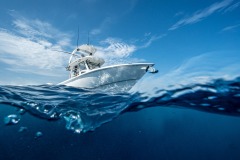 WhatsApp-Image-2024-01-13-at-3.23.21-PM-15