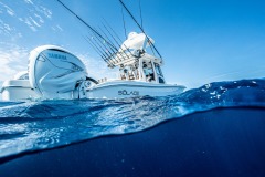 WhatsApp-Image-2024-01-13-at-3.23.21-PM-16