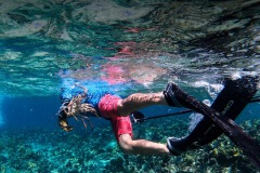 b3bf4543-367c-4041-99d4-23c381ae2907